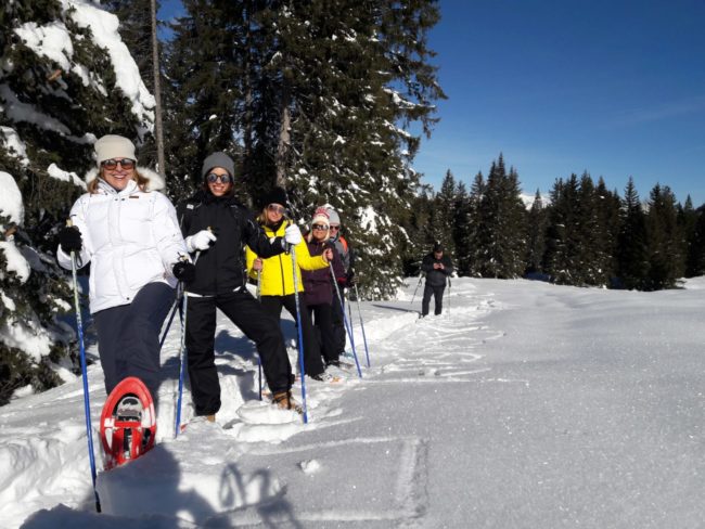 PHOTO-2019-02-08-12-43-38