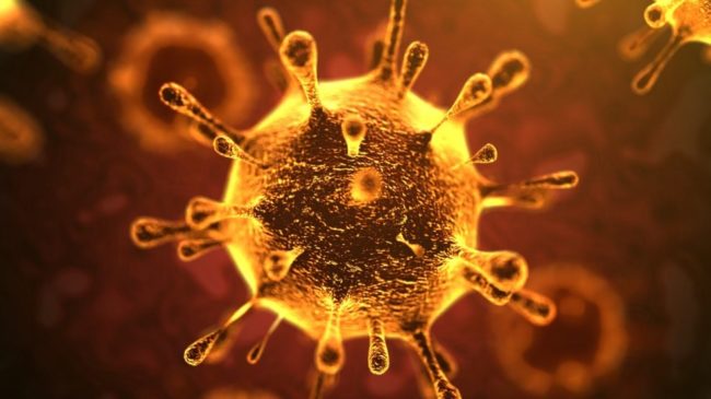 informareonline-coronavirus-6