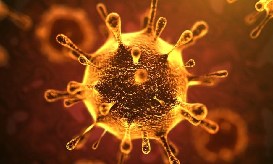 informareonline-coronavirus-6