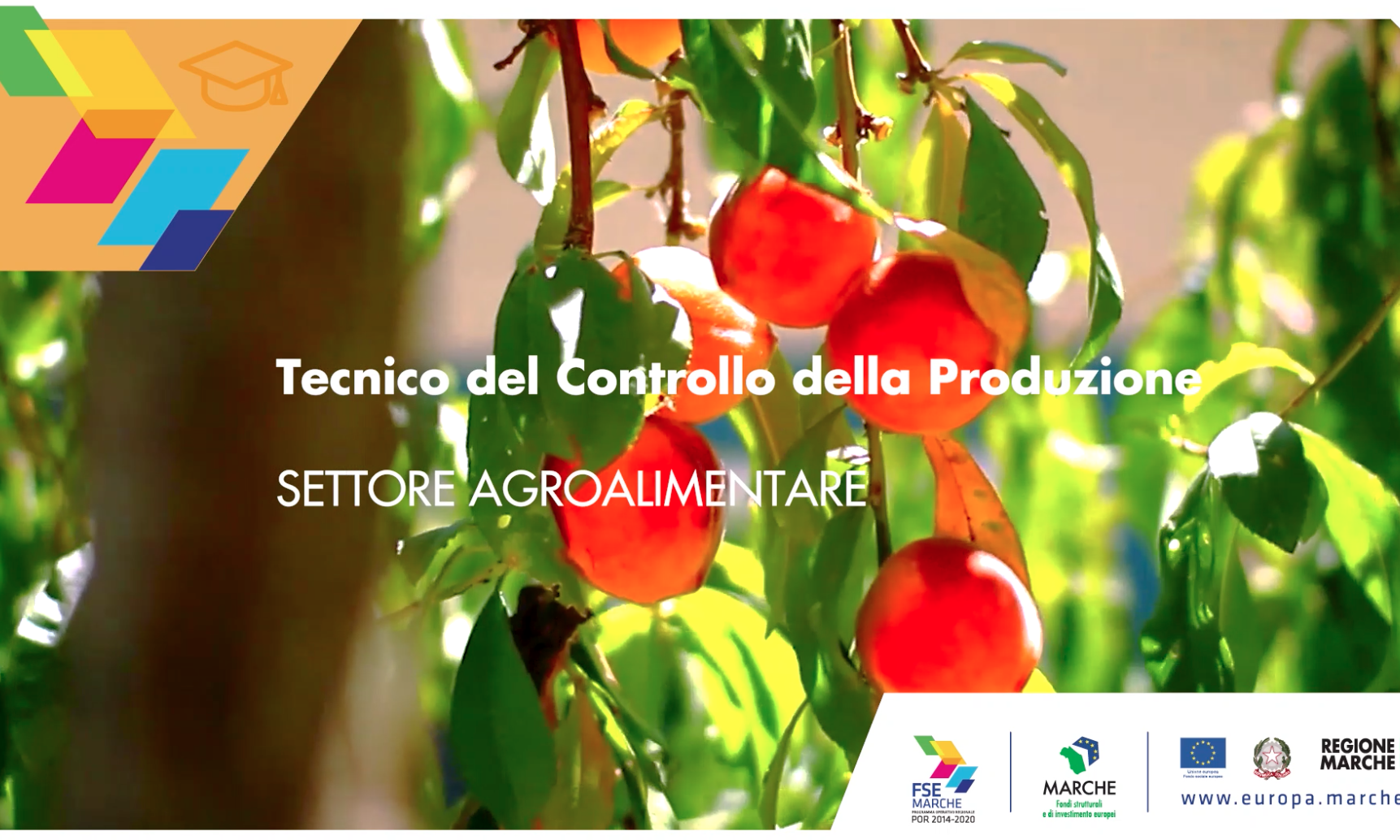 Schermata 2021-04-20 alle 12.30.15