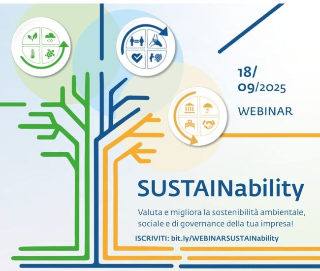ok cover CONFAPI WEBINAR SUSTAINABILITY
