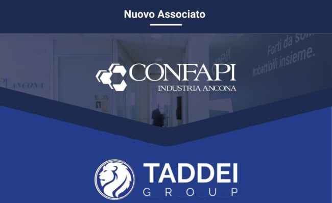 taddei group